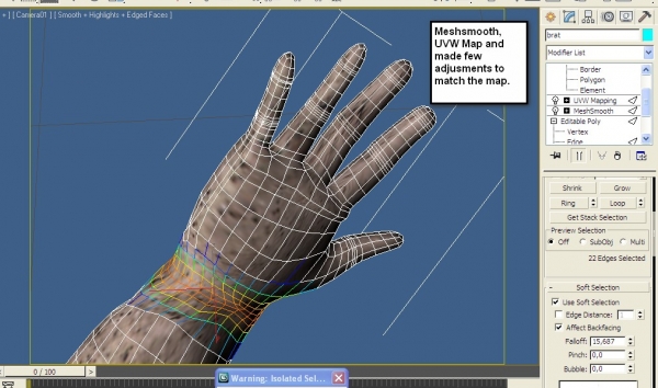 Creation of Roots: Step 4